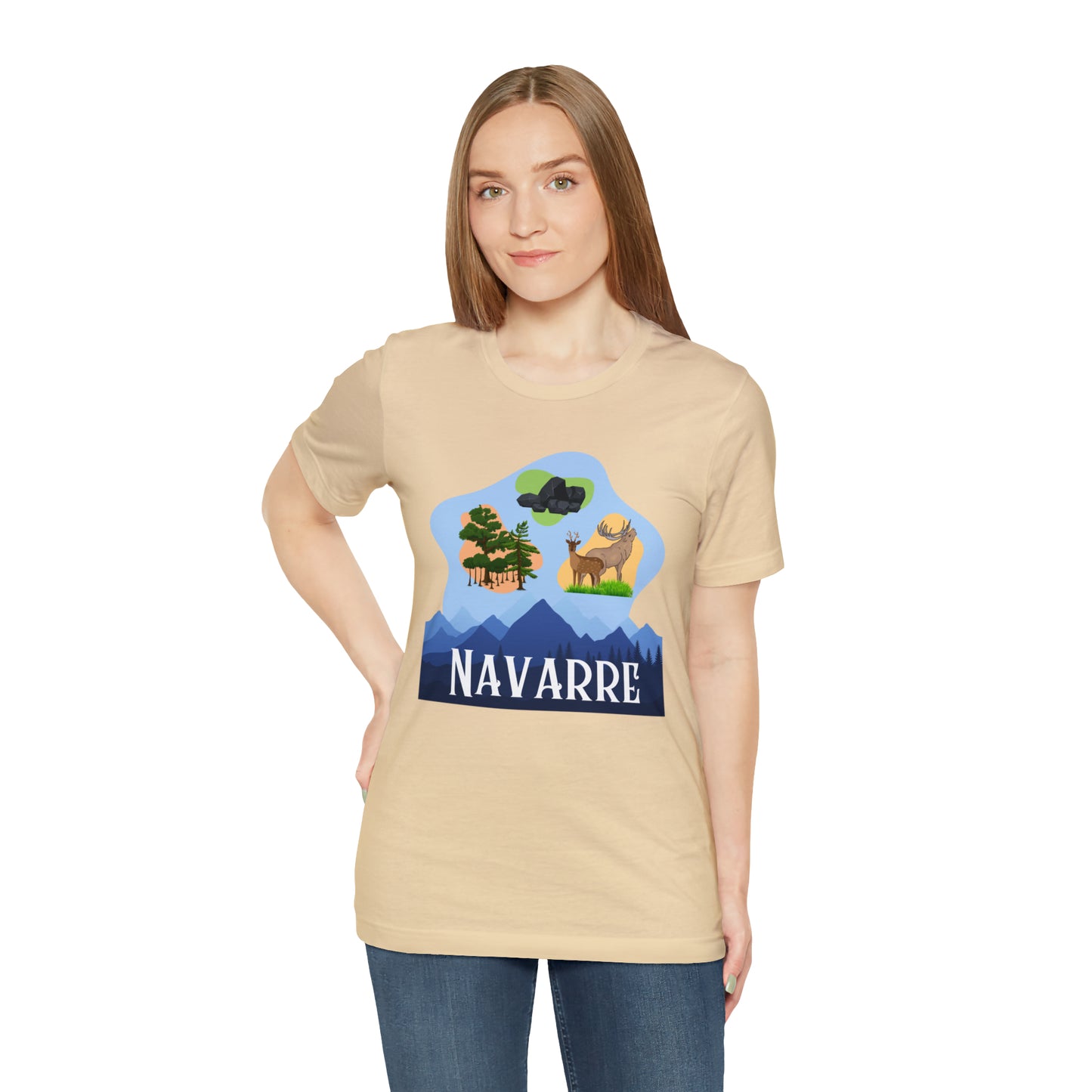 Navarre Catan Variant 2